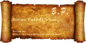 Boros Patrícius névjegykártya